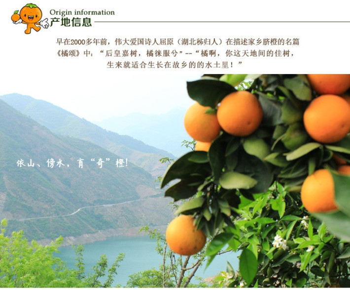 中国脐橙之乡是不是有很多个?