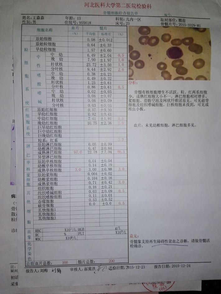 给再生障碍性贫血的弟弟筹手术费用