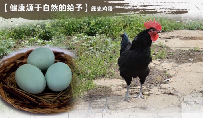【自家林中散养乌鸡生的蛋,只为亲提供最美味的乌鸡绿壳蛋】 乌鸡蛋