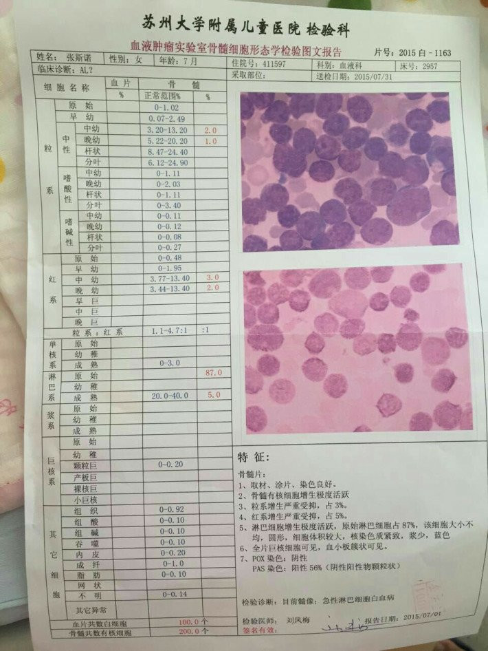 8个月大的婴儿,2015年7月在多家大医院均查出患急性淋巴结白血病,目前