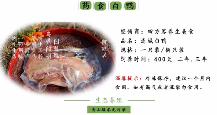 鴨中珍品〗全國唯一擁有藥用價值的鴨---連城白鴨