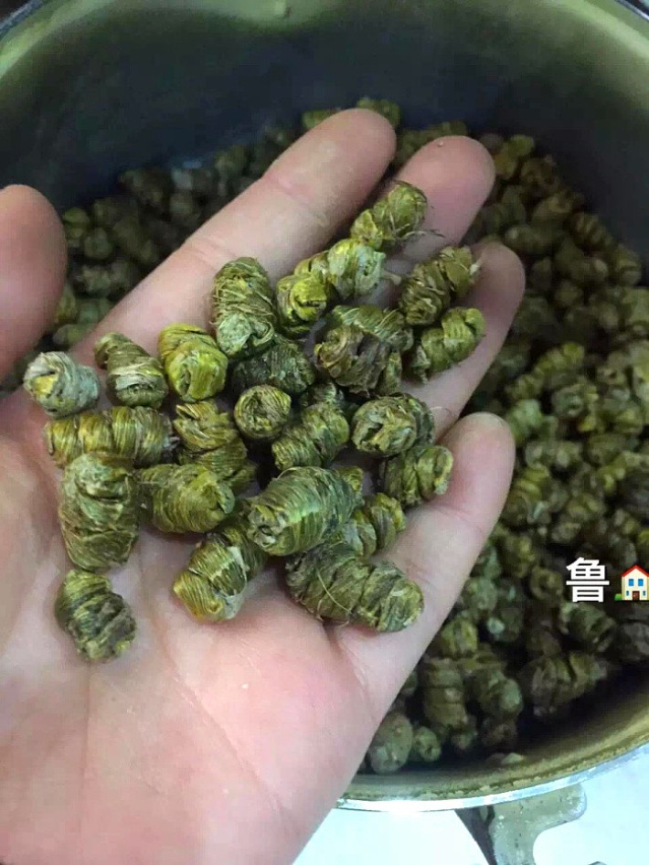 不是所有石斛都是半野生—來自雲南大山裡的